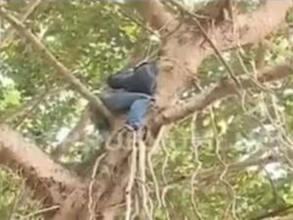 ലോ അക്കാദമിയില്‍ വിദ്യാര്‍ത്ഥിയുടെ ആത്മഹത്യാ ഭീഷണി