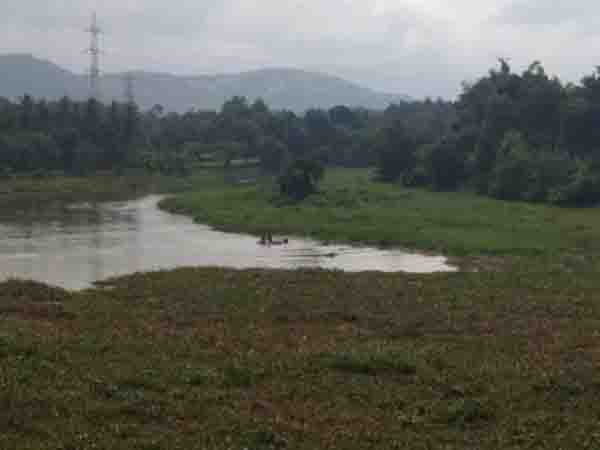 പറളിയില്‍ വീണ്ടും കാട്ടാനയിറങ്ങി