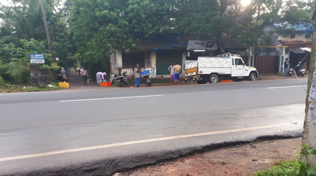 മത്സ്യ വില്പന ദേശീയപാതയോരത്ത്