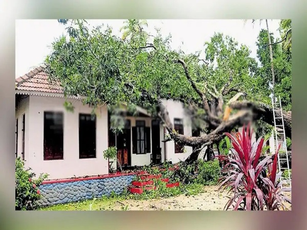 സിനിമക്കാരുടെയും, സീരിയലുകാരുടെയും ഇഷ്ട ലൊക്കേഷനുകളിലൊന്നായ പമ്പയാറിനു തീരത്തെ തറവാട് വീട് മരം വീണു തകർന്നു.