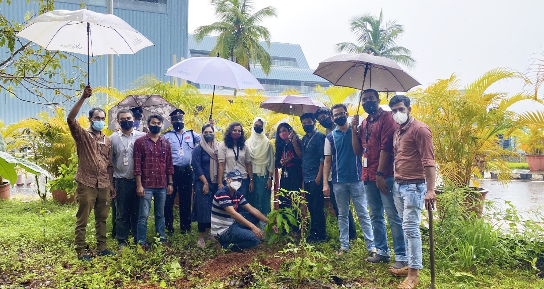 സൈബര്‍ പാര്‍ക്കില്‍ പരിസ്ഥിതി ദിനത്തോടനുബന്ധിച്ച് മരത്തൈകള്‍ നട്ടു