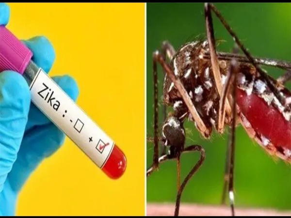 സം​സ്ഥാ​ന​ത്ത് ര​ണ്ടു പേ​ർ​ക്ക് കൂ​ടി സി​ക്ക വൈ​റ​സ് സ്ഥി​രീ​ക​രി​ച്ചു