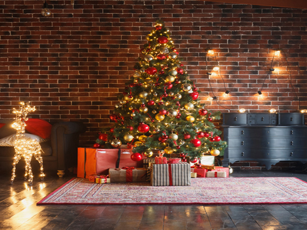 ചിറ്റൂരിലെ രണ്ട് സ്‌കൂളുകളിലെ ക്രിസ്മസ് ആഘോഷങ്ങള്‍ക്കെതിരായി നടന്ന ആക്രമണങ്ങളില്‍ റിപ്പോര്‍ട്ട് തേടി ന്യൂനപക്ഷ കമ്മീഷന്‍