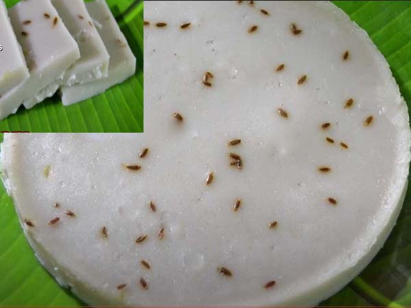 വെറും മൂന്ന് ചേരുവകൾ മതി; തേങ്ങാപ്പാല്‍ കിണ്ണത്തപ്പം റെഡി…