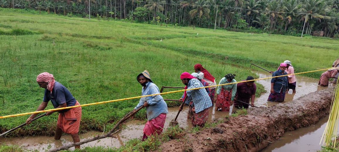 തെളിനീരൊഴുകും നവകേരളം പദ്ധതിക്ക് അരിക്കുളത്ത് തുടക്കമായി.
