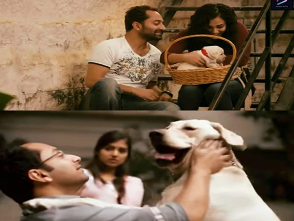 ബാംഗ്ലൂര്‍ ഡെയ്‌സിലെ നദാഷയുടെ നായക്കുട്ടി ഓര്‍മ്മയായി