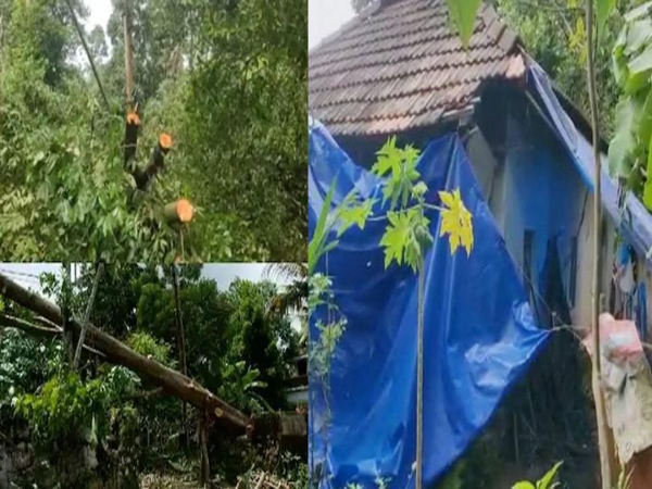 തൃശൂര്‍ മാളയില്‍ ചുഴലിക്കാറ്റ്; കനത്ത നാശനഷ്ട്ടം