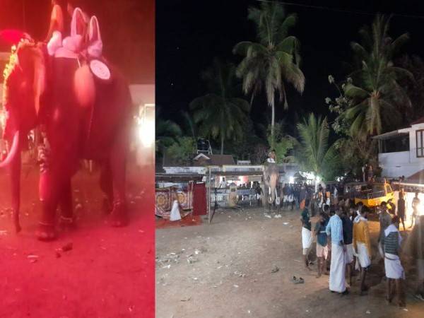 പാലക്കാട് ഉത്സവത്തിനിടെ ആനയിടഞ്ഞു;ഒന്നാം പാപ്പാന് ഗുരുതര പരുക്ക്