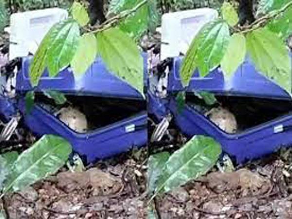 മാക്കൂട്ടം ചുരം പാതയിൽ ട്രോളി ബാഗിൽ യുവതിയുടെ മൃതദേഹം തള്ളിയ കേസിന്റെ അന്വേഷണം വഴിമുട്ടുന്നു