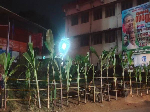 പാലക്കാട് നവകേരള സദസിന്റെ വേദിക്കരികില്‍ 21 വാഴ വെച്ച് കോണ്‍ഗ്രസിന്റെ പ്രതിഷേധം