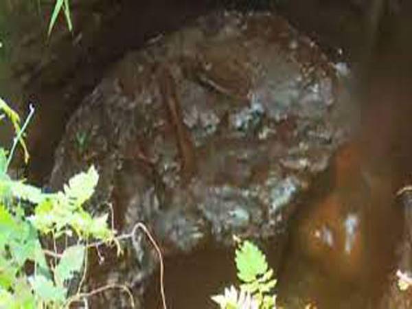 മലയാറ്റൂരിൽ  ഇല്ലിത്തോട്ടിൽ റബ്ബർ തോട്ടത്തിലെ കിണറ്റിൽ കുട്ടിയാന വീണു