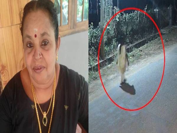 15 കോടി രൂപ സമ്മാനം ലഭിക്കുമെന്ന് പറഞ്ഞ് 11 ലക്ഷം തട്ടി; ഇരയായ പാലക്കാട്ടെ വീട്ടമ്മ തിരിച്ചെത്തി