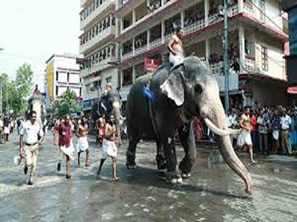 ഗുരുവായൂർ ആനയോട്ടം; കൊമ്പൻ രവികൃഷ്ണൻ ഒന്നാമൻ