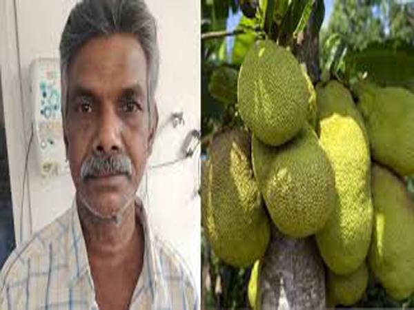 അനുവാദം ചോദിക്കാതെ ചക്ക എടുത്തു കൊണ്ടുപോയതിന് അയൽവാസിയെ കൊലപ്പെടുത്തിയ കേസിൽ പ്രതിക്ക് ജീവപര്യന്തം