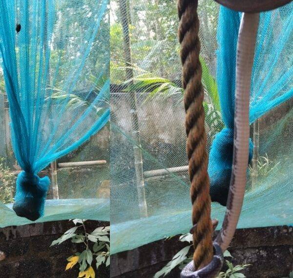 കിണറ്റിലെ വെള്ളം കോരുന്ന കയറില്‍ ശംഖുവരയന്‍. തലനാരിഴയ്ക്ക് സ്ത്രീ രക്ഷപ്പെട്ടു